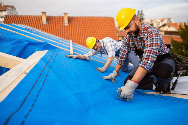 Best Roof Insulation Installation  in Portage, WI
