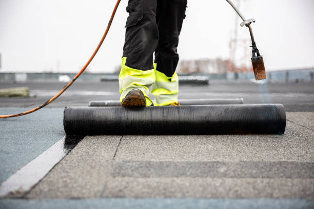 Best Roof Coating and Sealing  in Portage, WI